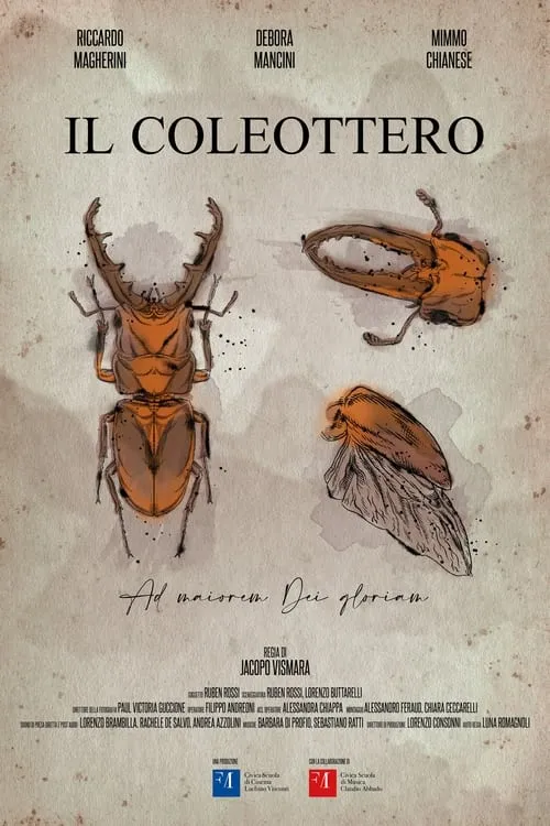 Il Coleottero (фильм)