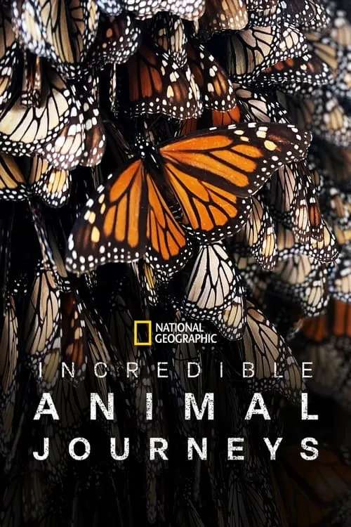 Incredible Animal Journeys (series)