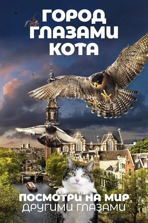 Город глазами кота (фильм)