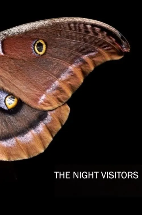 The Night Visitors (movie)