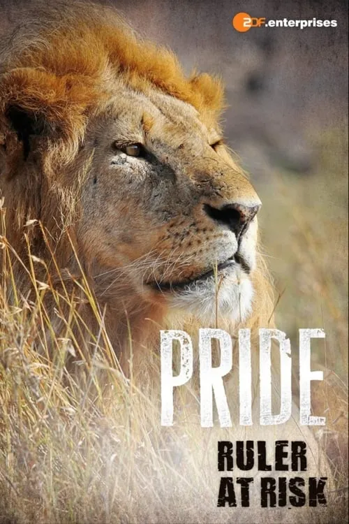 Pride Ruler at Risk (movie)