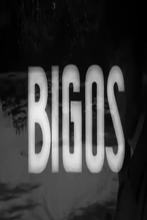 Bigos