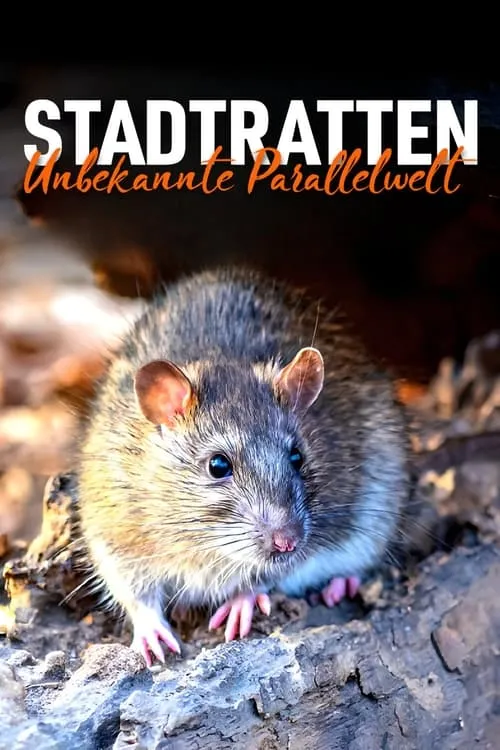 Stadtratten - Unbekannte Parallelwelt (movie)