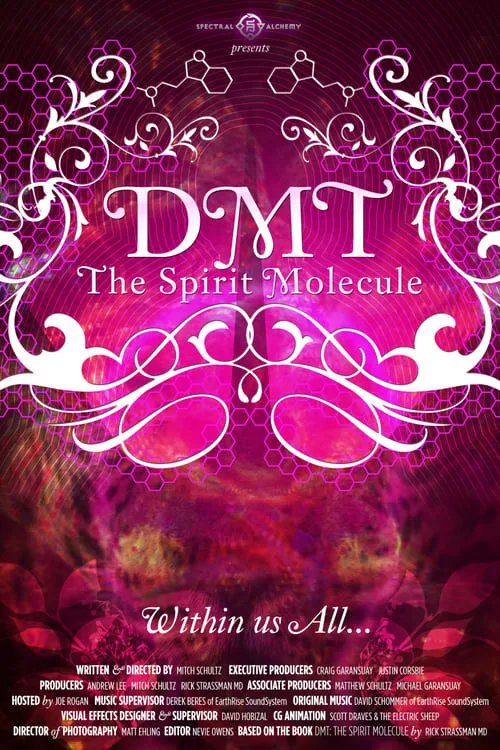 DMT: The Spirit Molecule (movie)