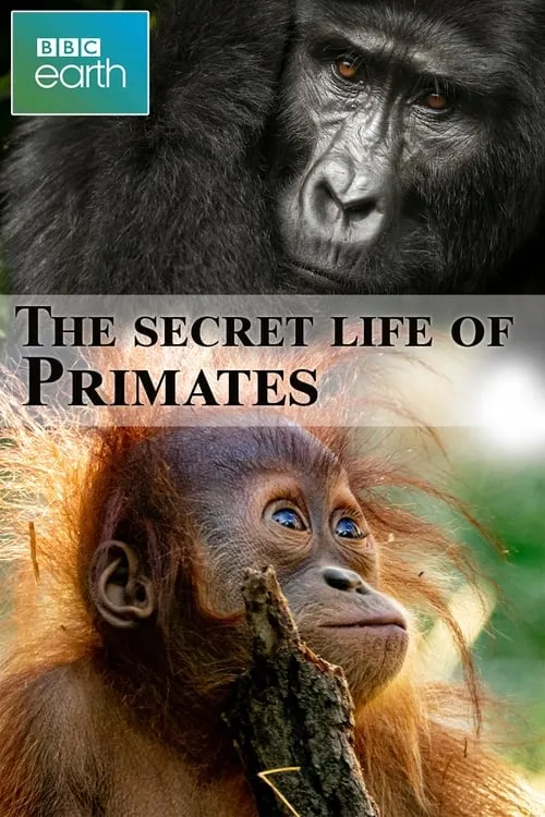 The secret life of Primates (movie)