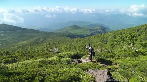 Safety Tips for Hiking in Japan