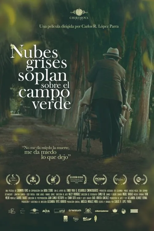 Nubes grises soplan sobre el campo verde (movie)