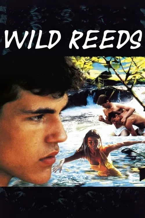 Wild Reeds (movie)