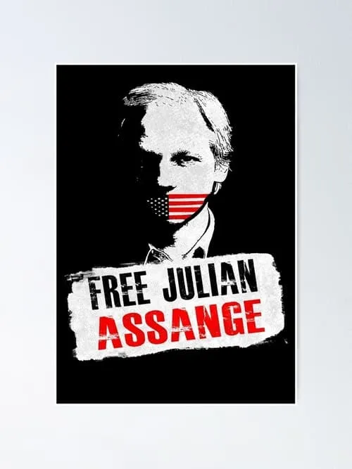 Julian Assange: Chronik einer Spionageaffäre (movie)