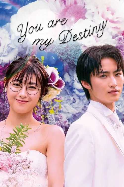 You Are My Destiny (series)