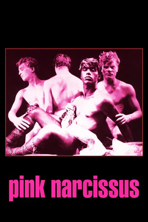 Pink Narcissus (movie)