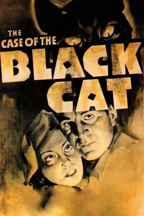 The Case of the Black Cat (movie)