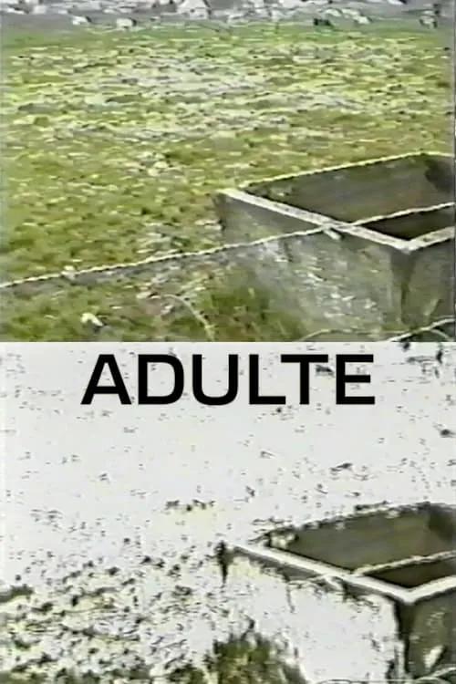 Adulte (фильм)