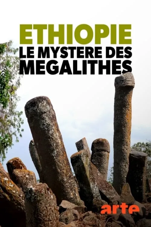 Éthiopie, le mystère des mégalithes (movie)