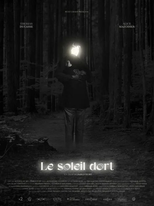 Le soleil dort (фильм)