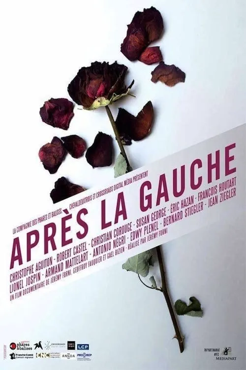 Après la gauche (movie)