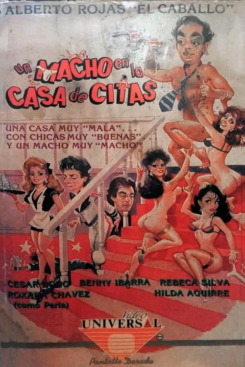 Un macho en la casa de citas (movie)