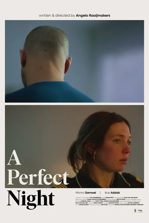 A Perfect Night (movie)