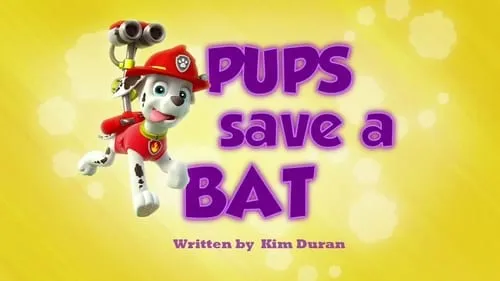 Pups Save a Bat