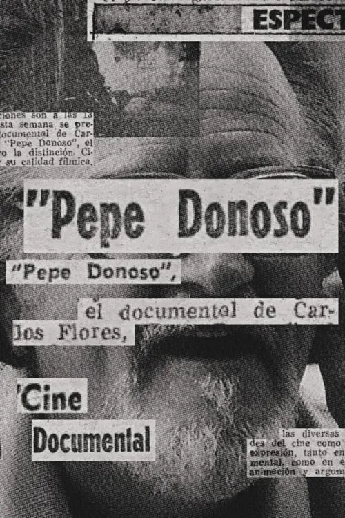 Pepe Donoso (movie)