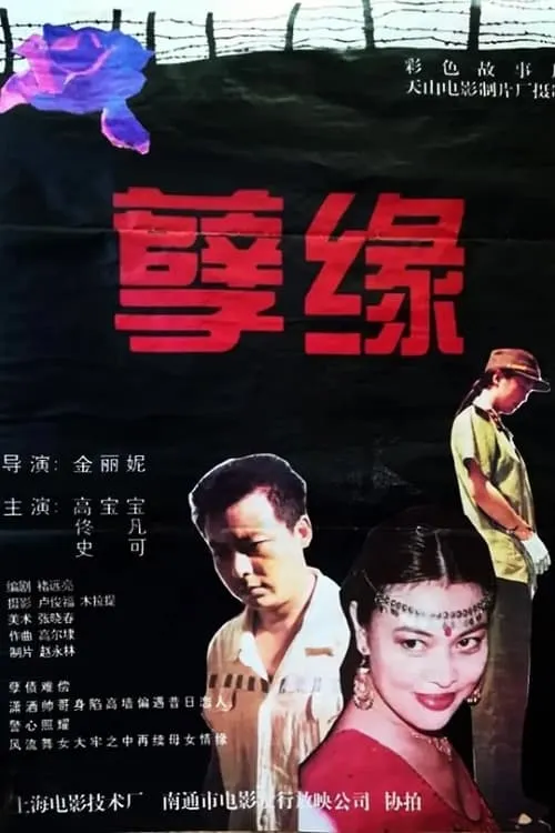 孽缘 (movie)