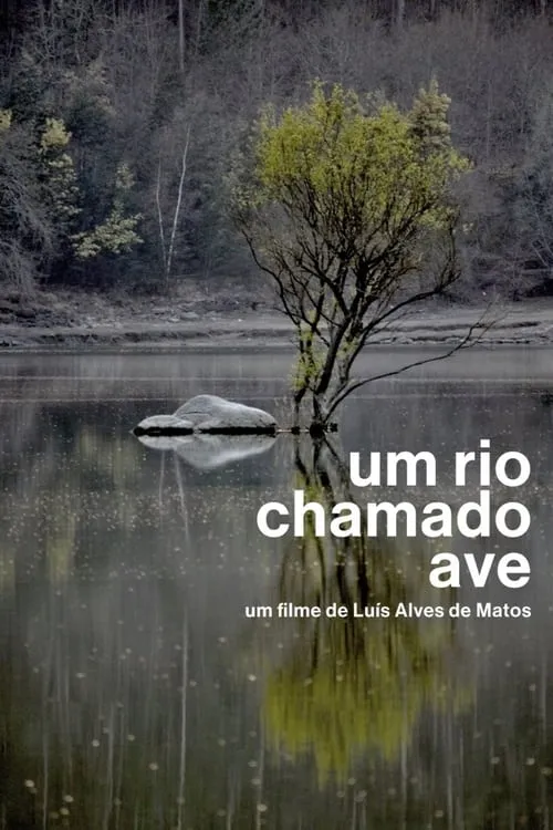 Um Rio Chamado Ave