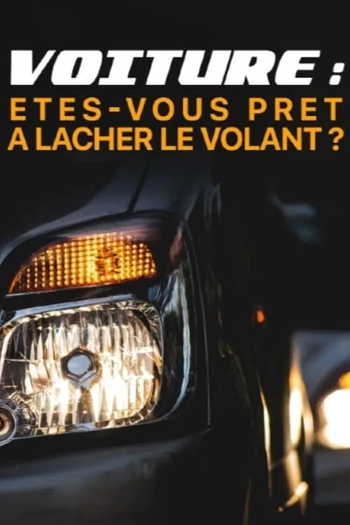 Voiture : êtes-vous prêts à lâcher le volant ? (фильм)