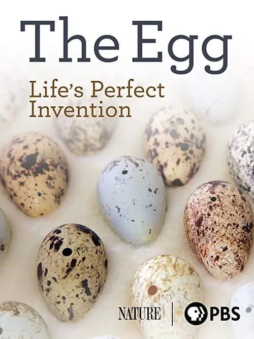 The Egg: Life’s Perfect Invention (movie)