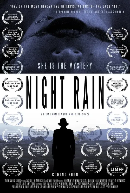 Night Rain (фильм)