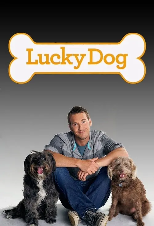 Lucky Dog (series)