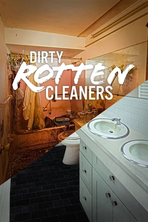 Dirty Rotten Cleaners (series)