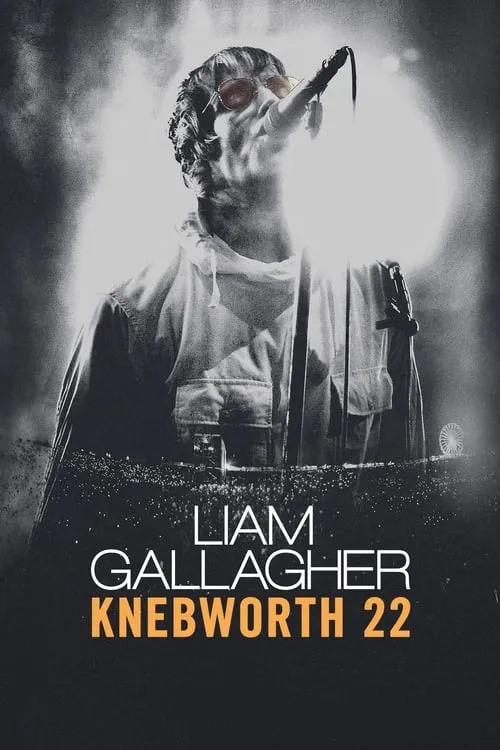 Liam Gallagher: Knebworth 22 (movie)