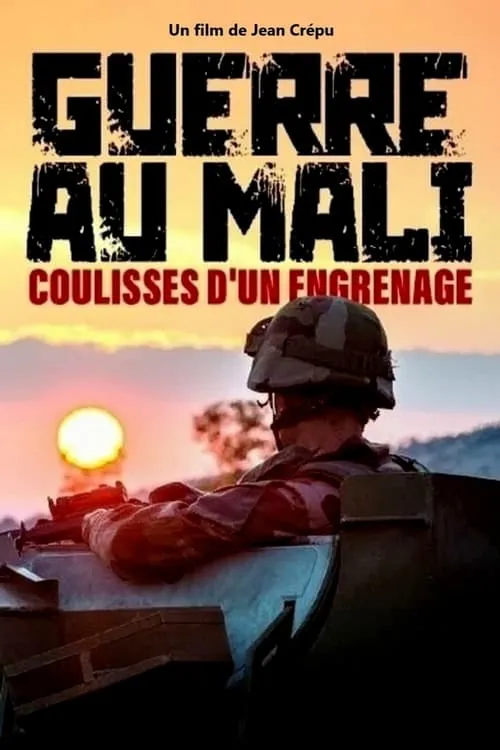 Guerre au Mali : coulisses d'un engrenage (фильм)