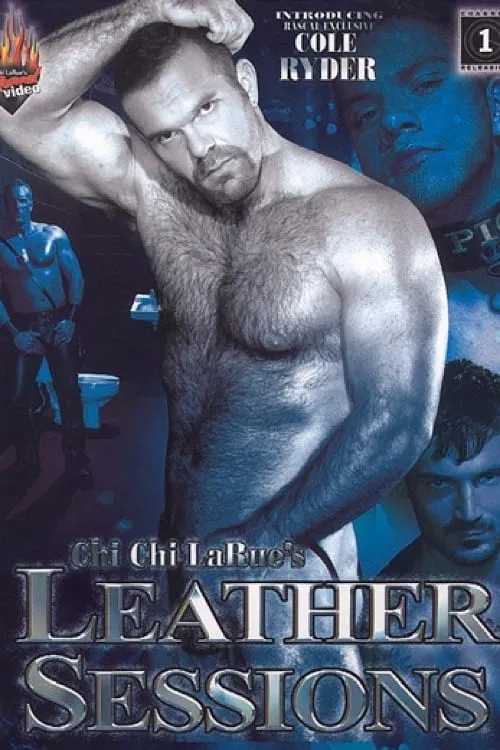 Leather Sessions (фильм)