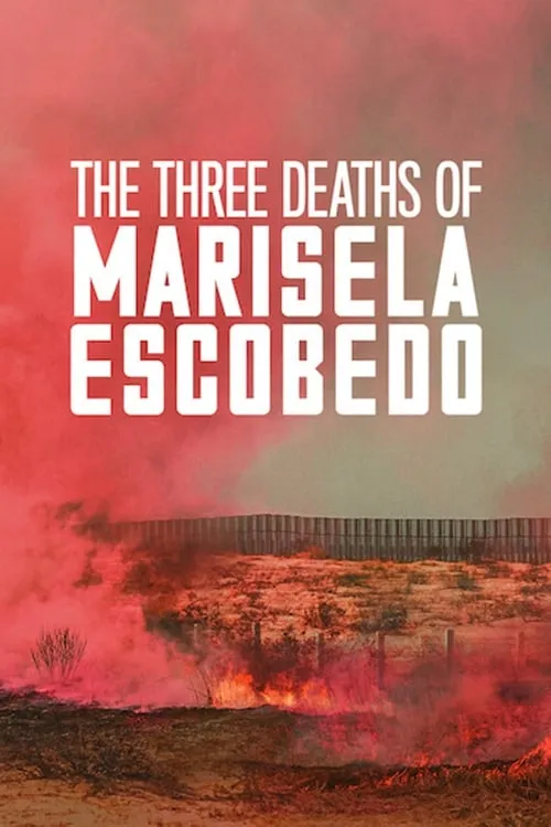 The Three Deaths of Marisela Escobedo (movie)