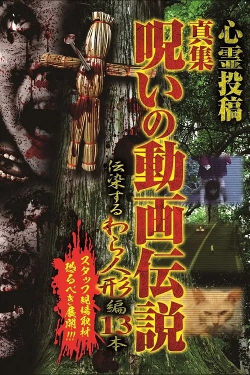 Shinshu, A Curse Video Legend: 13 Infectious Straw Dolls (movie)