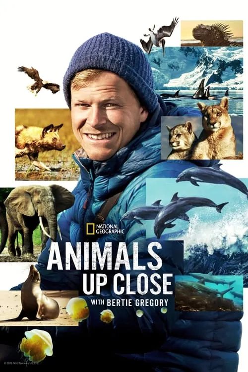Animals Up Close with Bertie Gregory (series)