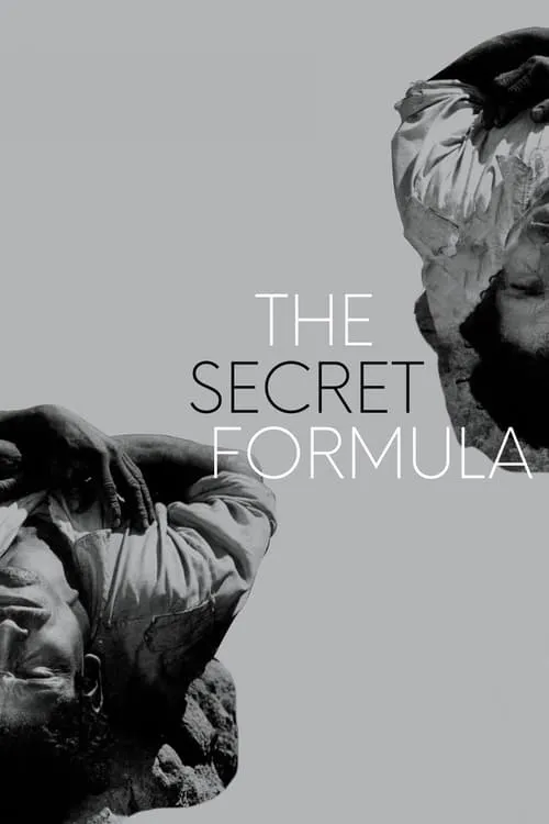 The Secret Formula (movie)