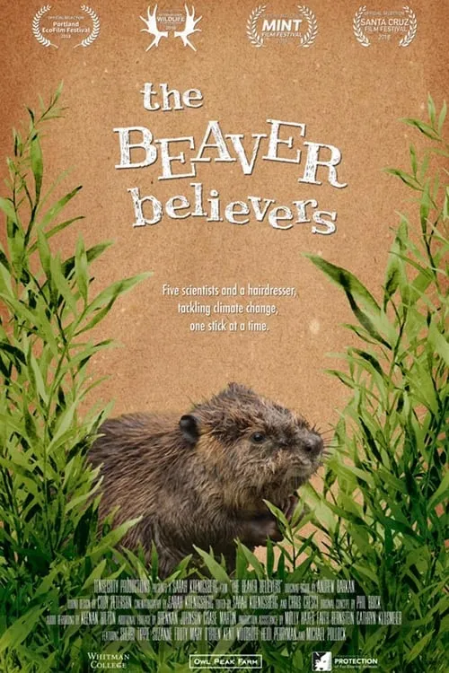 The Beaver Believers (movie)