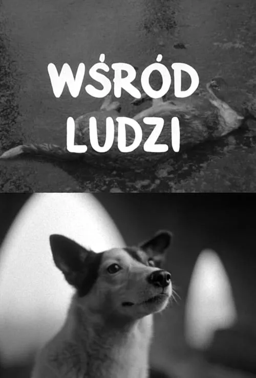 Wśród ludzi