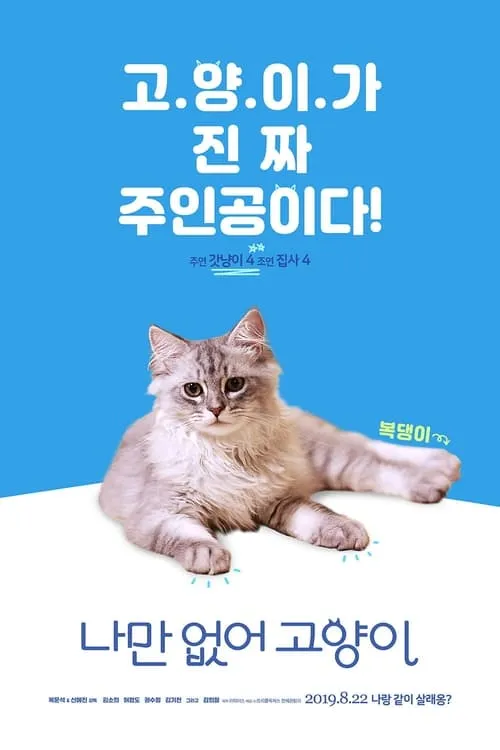 나만 없어 고양이