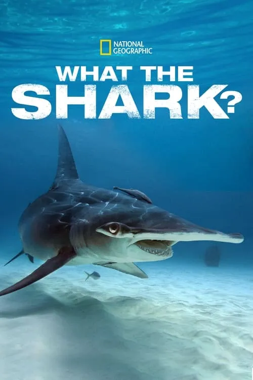 What the Shark? (movie)