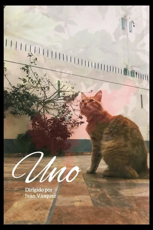 Uno (фильм)