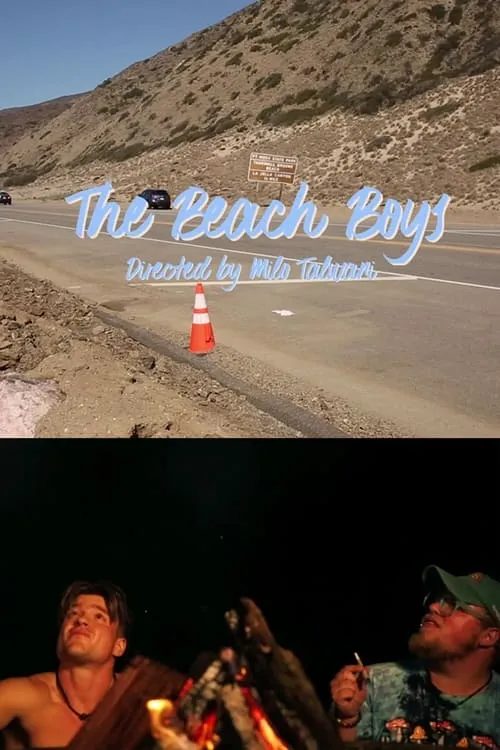 The Beach Boys (movie)