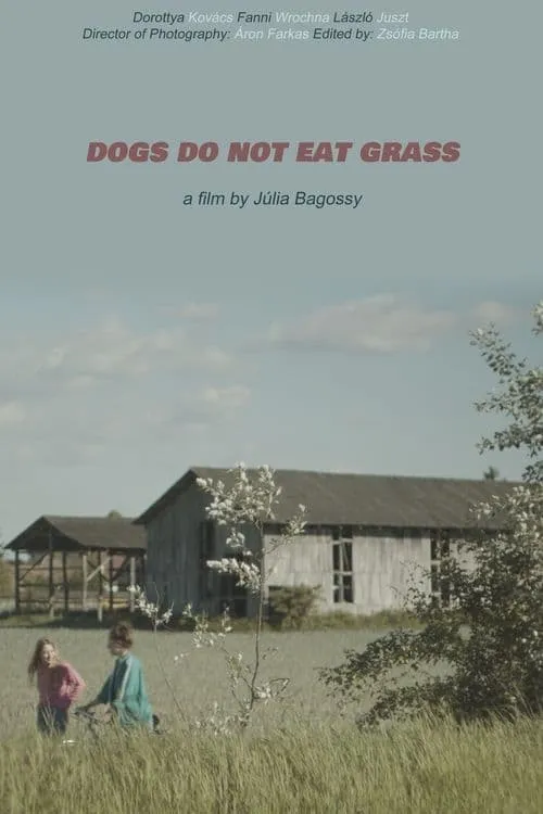 Dogs Do Not Eat Grass (movie)