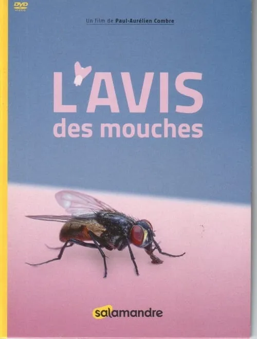 L'Avis Des Mouches