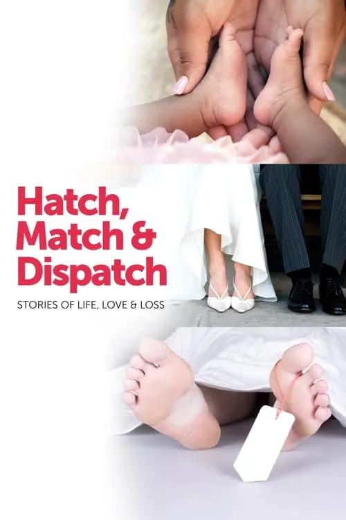 Hatch, Match & Dispatch (series)