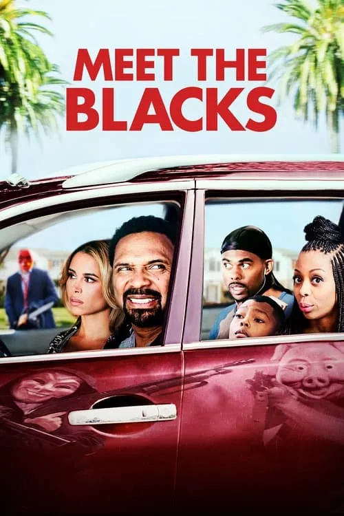 Meet the Blacks (movie)