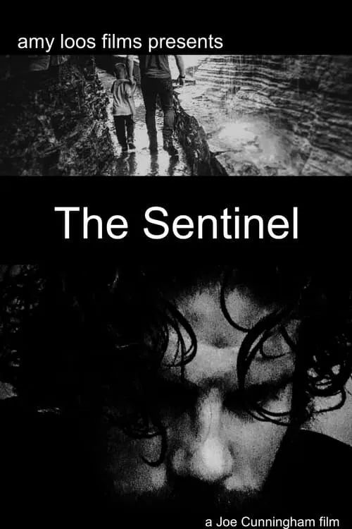 The Sentinel (movie)