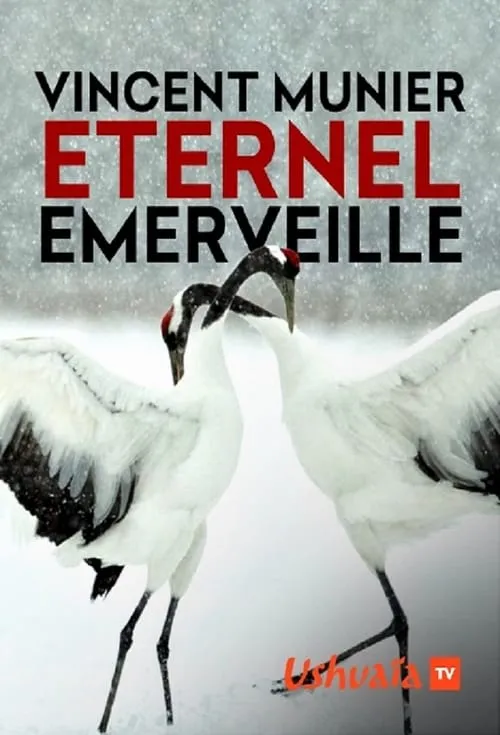 Vincent Munier, éternel émerveillé (movie)